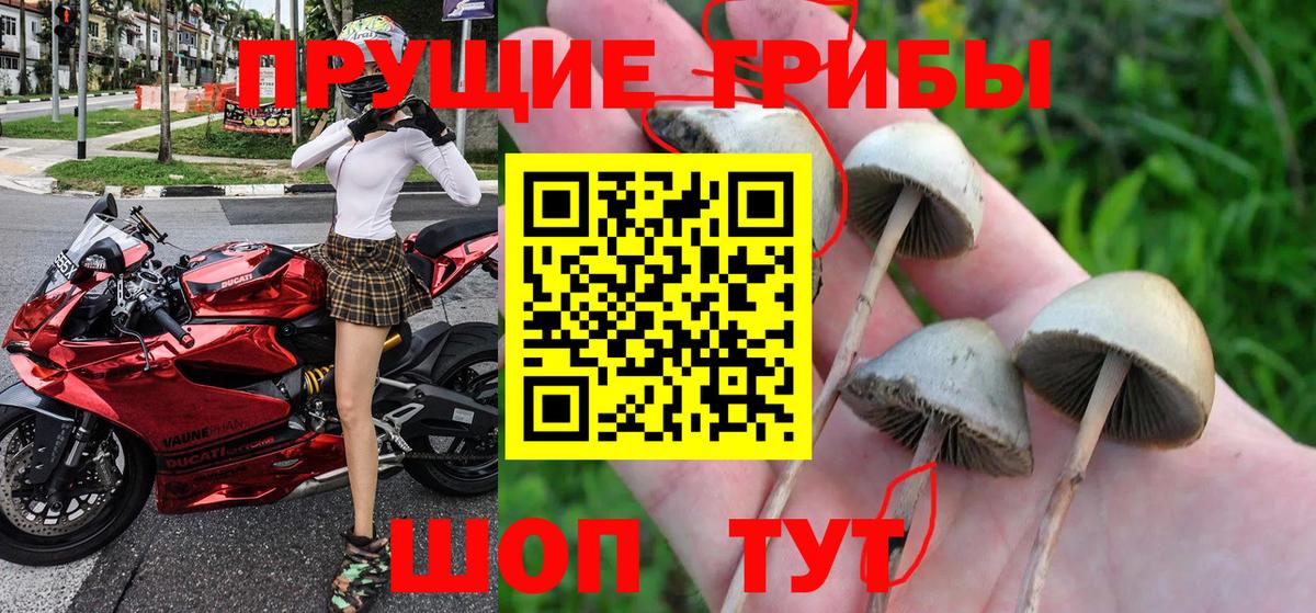 Галлюциногенные грибы мицелий Нижний Новгород