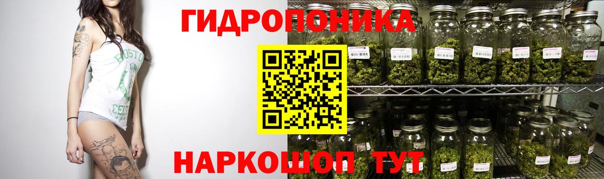 Шишки марихуана планчик  Конопля AK-47  Конопля Ganja  Марихуана индика  Нижний Новгород  Вход с VPN 